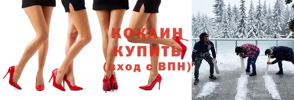 гашик Сосновка