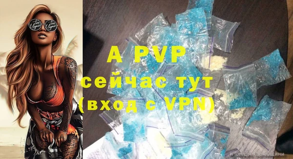дживик Беломорск