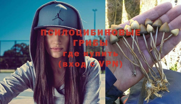 apvp Белокуриха