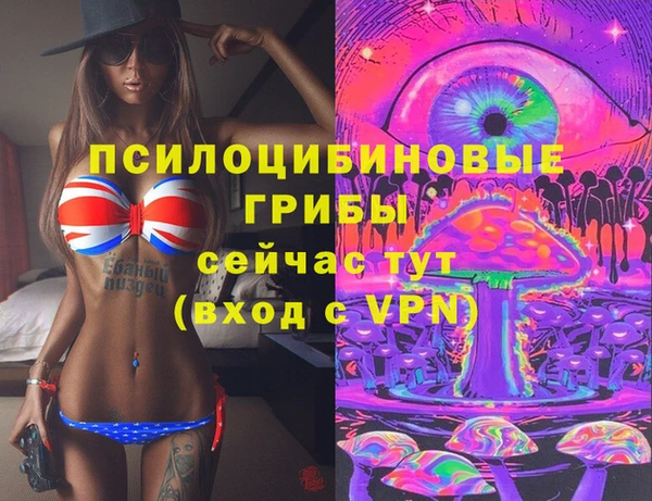 apvp Белокуриха