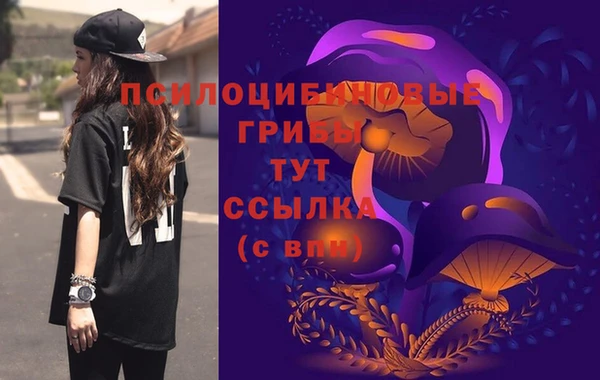 дживик Беломорск
