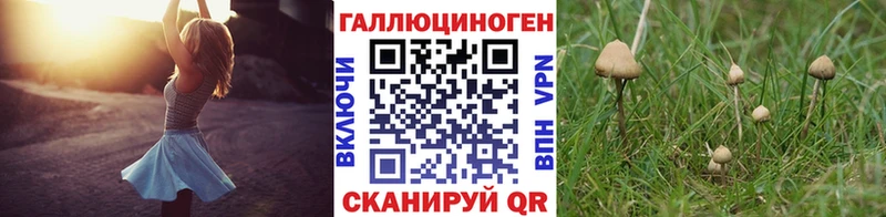 Псилоцибиновые грибы Psilocybe  продажа наркотиков  Валуйки 